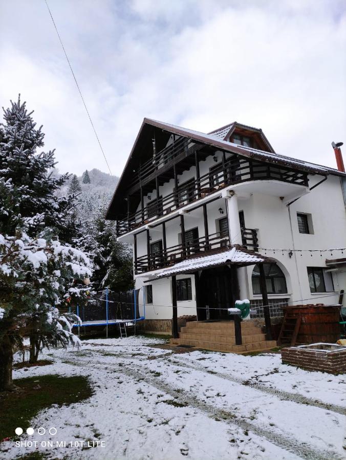 Casa Haiducilor Satic Rucăr Exterior foto
